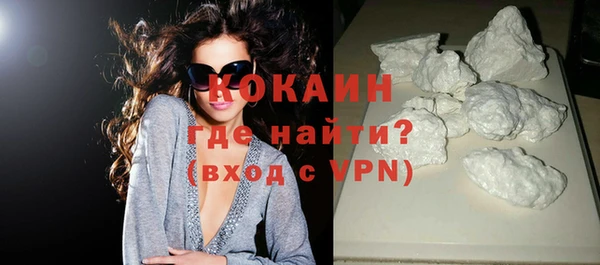 шишки Богородицк