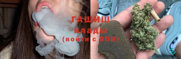 шишки Богородицк