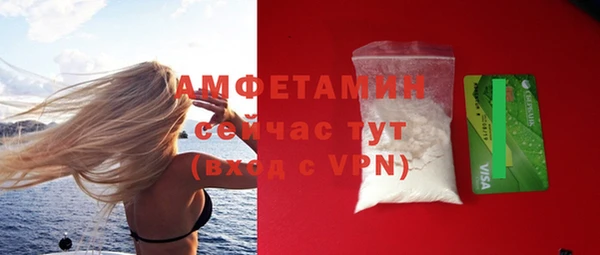 шишки Богородицк