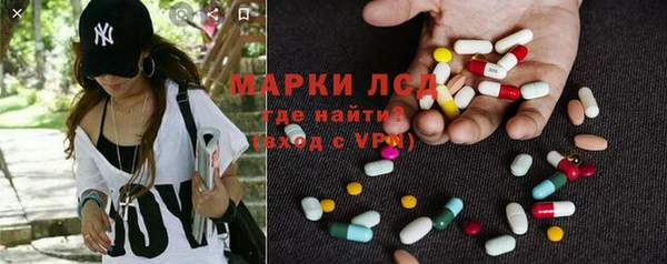 шишки Богородицк