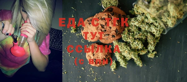 шишки Богородицк