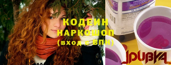 шишки Богородицк