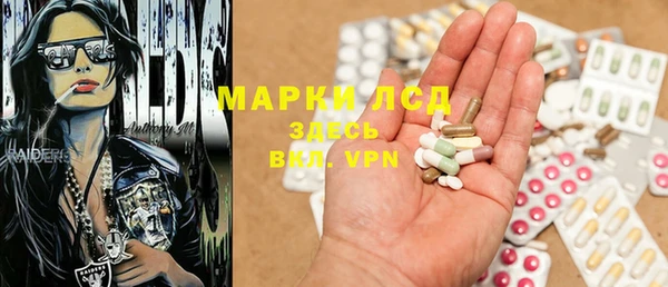 шишки Богородицк
