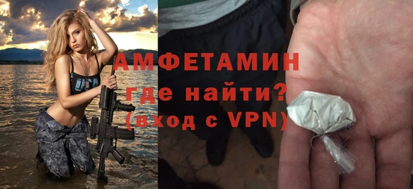 шишки Богородицк