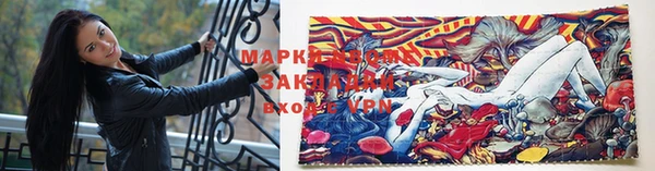 шишки Богородицк