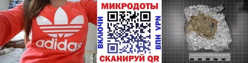Галлюциногенные грибы Psilocybine cubensis  Новокузнецк 